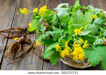 Brain boosting foods for adults picture 1