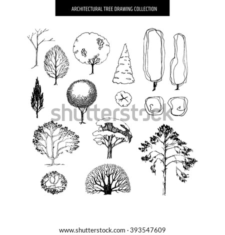 Architecture Drawing Trees architectural trees stock images, royalty-free images & vectors Architecture Drawing Trees architectural trees stock images, royalty-free images & vectors