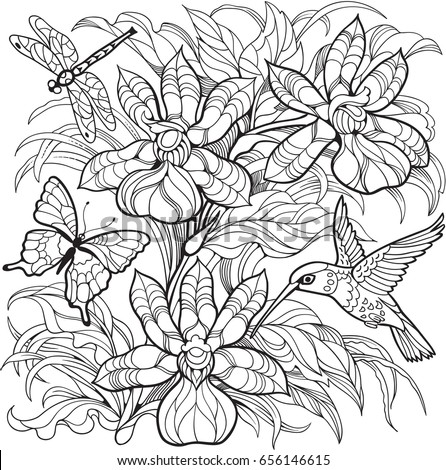 orchid flowers insects and hummingbirdvector coloring page for adult and older children - Hummingbird Coloring Pages orchid flowers insects and hummingbirdvector coloring page for adult and older children - Hummingbird Coloring Pages