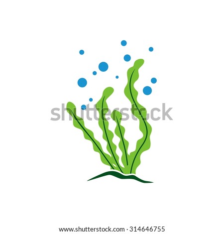 Seaweed Stock Photos, Royalty-Free Images & Vectors - Shutterstock