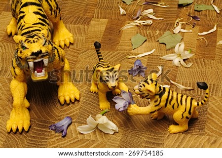 Image Result For Are White Tigers In Africaa Image Result For Are White Tigers In Africaa