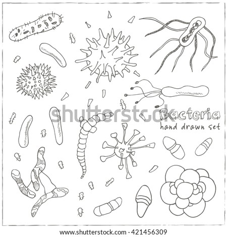Deals with bacteria