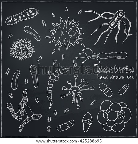 Deals with bacteria