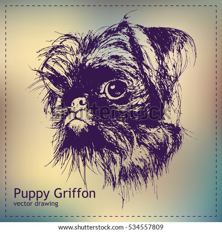 Pen graphics vector puppy griffon drawing