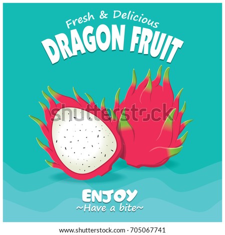 Vintage Fruit Poster Design Vector Dragon Stock Vector 705067741 ...
