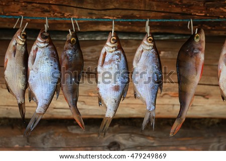 fish drying on rope