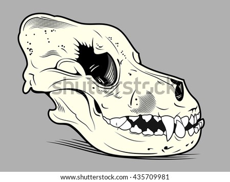 Dog Skull Stock Images, Royalty-Free Images & Vectors | Shutterstock