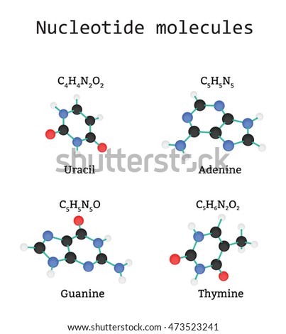 Nucleotide Stock Photos, Royalty-Free Images & Vectors - Shutterstock