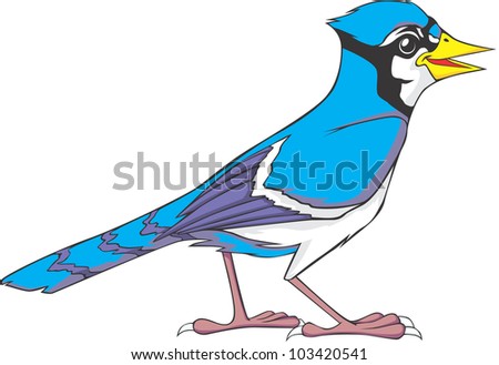 Clip Art Blue Jay Clipart blue jay bird stock photos royalty free images vectors happy illustration