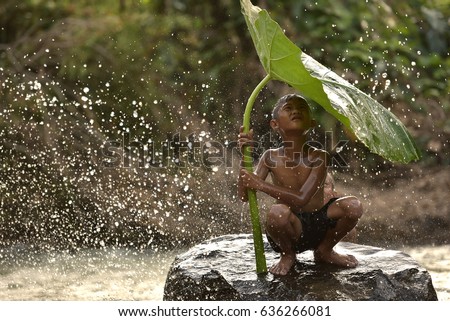 Little boys sitting and playing water under lotus leaf, Asian kid smiling and happiness playing water under lotus leaf after raining day at countryside in Thailand.