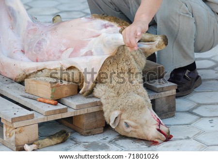 Sheep Slaughter Stock Images, Royalty-Free Images 