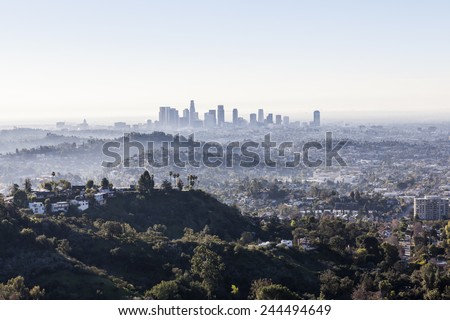 Misty early morning in downtown Los Angeles.