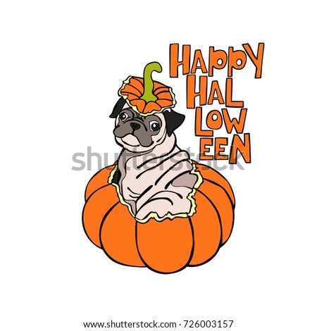 Download Dog Puppy Pug Halloween Pumpkin Isolated Stock Vector ...