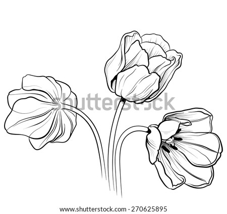 Line Ink Drawing Flower Butterfly Black Stock Illustration 341075366 ...