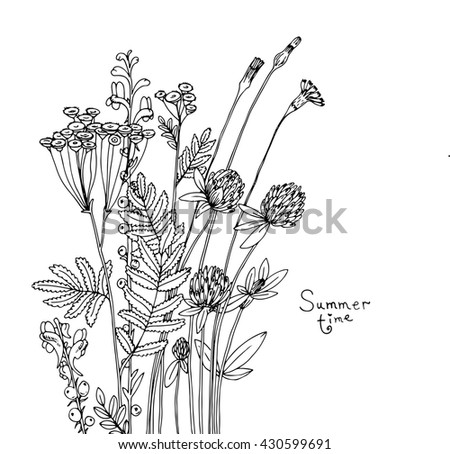 Vector Sketch Wildflowers Stock Vector 306513827 - Shutterstock