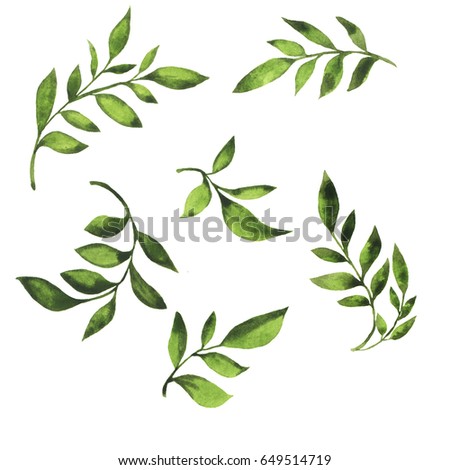 Leaf Stock Images, Royalty-Free Images & Vectors | Shutterstock