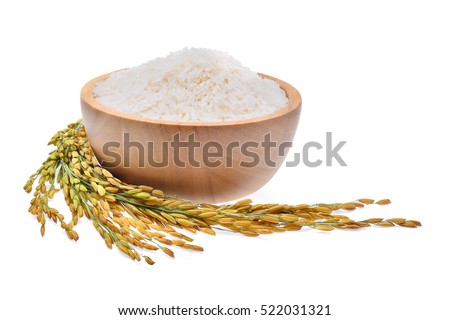 white rice (Thai Jasmine rice) and unmilled rice isolated on white background