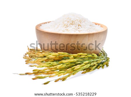white rice (Thai Jasmine rice) in wooden bowl and unmilled rice isolated on white background