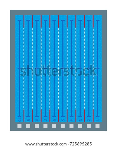 swimming pool deep transparent blue water top view of pool with lines and marks - Olympic Swimming Pool Top View swimming pool deep transparent blue water top view of pool with lines and marks - Olympic Swimming Pool Top View