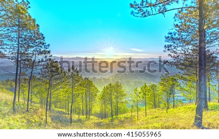 Path to sun rays a pine forest with long sun rays pass through valley with pines yellow sunny mornings this place more lively, warm and tranquil welcome to beautiful new day