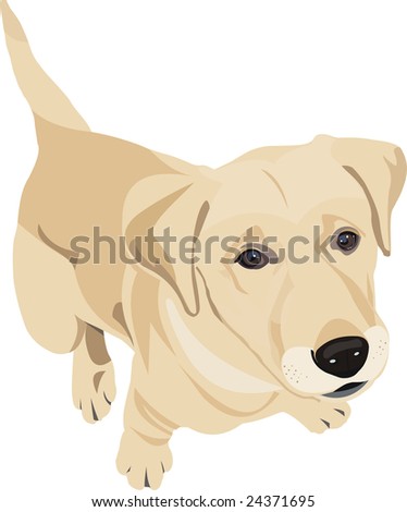 Cute Cartoon Labrador Puppy Stock Images, Royalty-Free Images & Vectors