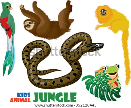 Rainforest Cartoon Stock Images, Royalty-Free Images & Vectors