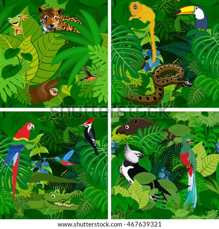 Rainforest Stock Vectors, Images & Vector Art | Shutterstock