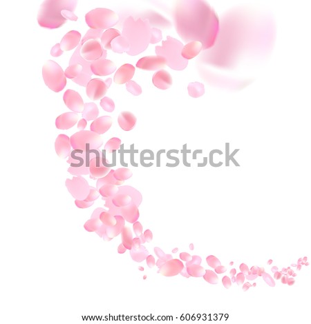 Flowers design. Flowers petals wallpaper. Sakura flying petals isolated on white background. Petals Roses Flowers. Vector illustration