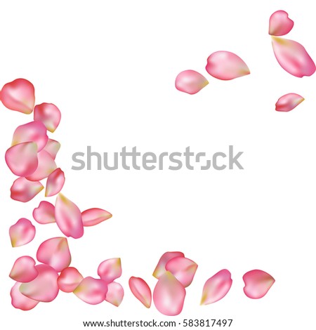 Spring Flower Petals Blossoms Blank Background Stock Vector 583817497
