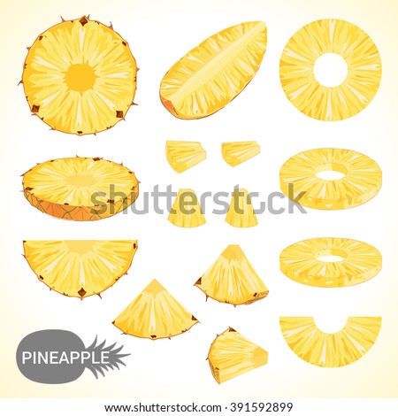 Set of pineapple in various styles vector format