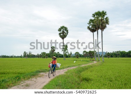 An Giang, Vietnam - Aug 7, 2016. A woman biking on rural road in An Giang, Vietnam. The Mekong Delta is also Vietnam's most important economy region.