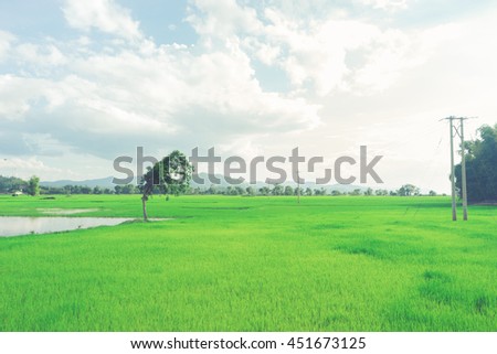 View of the countryside with clouds and fields in Buon Me Thuot, Vietnam in the afternoon