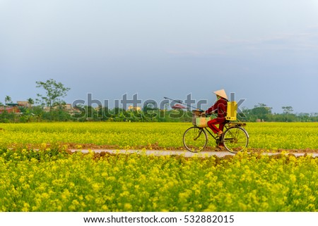 ThaiBinh, Viet Nam, december, 7, 2016: a woman cycling on Council reform at Thai Binh, Viet Nam