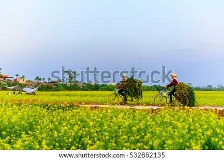ThaiBinh, Viet Nam, december, 7, 2016: two woman cycling on Council reform at Thai Binh, Viet Nam