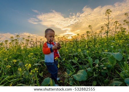 ThaiBinh, VietNam, december, 07, 2016: a boy on contract Flower reform at Thai Binh, Viet Nam