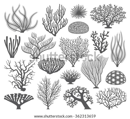 Collection of many different Coral and coral formations Vector Silhouettes