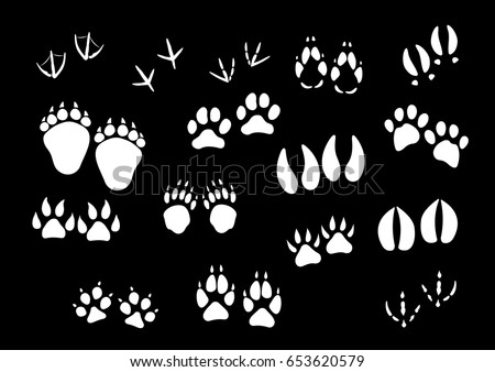 Animal Footprint Track Vector Stock Vector 54288103 - Shutterstock