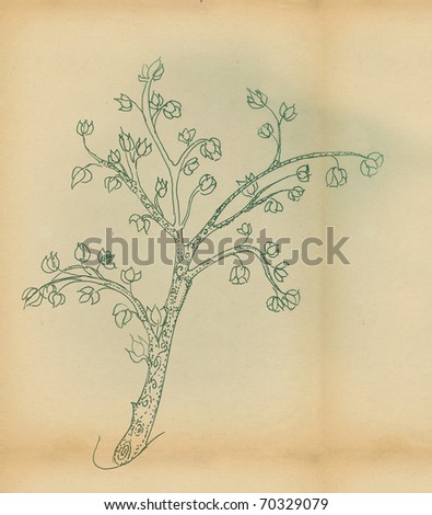 tree of knowledge essay Enjoy our tree of knowledge quotes collection best tree of knowledge quotes selected by thousands of our users. tree of knowledge essay Enjoy our tree of knowledge quotes collection best tree of knowledge quotes selected by thousands of our users.