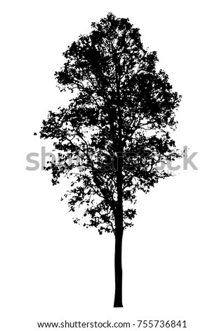 Weeping Willow Tree Silhouette Stock Vector 14535949 - Shutterstock