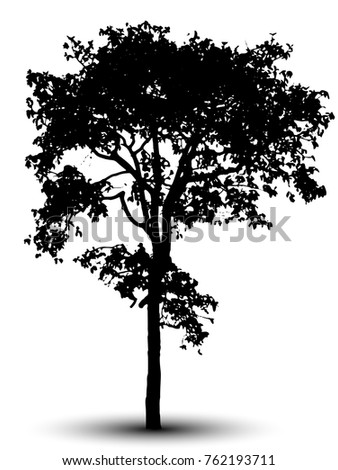 Silhouette Oak Tree Stock Vector 1535426 - Shutterstock