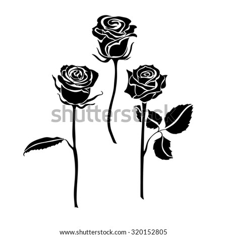 Black And White Rose Stock Images, Royalty-Free Images & Vectors ...