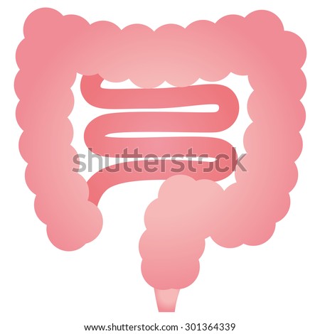 Bowel Stock Images, Royalty-Free Images & Vectors | Shutterstock