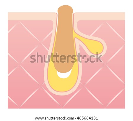 skin pores stock images royalty free images vectors skin stock images royalty free images vectors skin pores stock images royalty free images vectors skin stock images royalty free images vectors