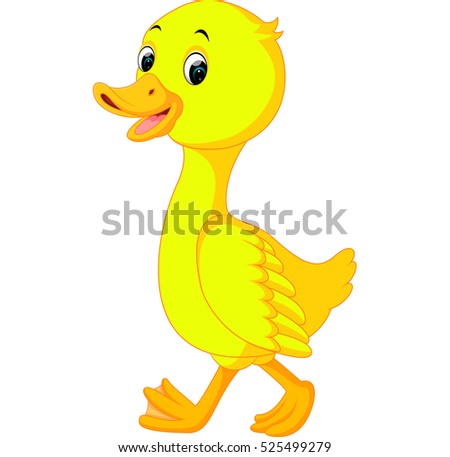 Duck Walking Stock Images, Royalty-Free Images & Vectors | Shutterstock