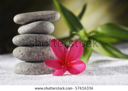 stock image of the spa concept