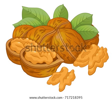 Walnut Cartoon Stock Images, Royalty-Free Images & Vectors | Shutterstock