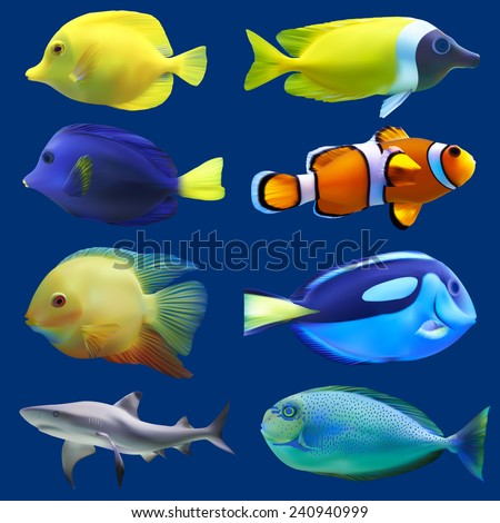 Set of tropical fish. Vector illustration
