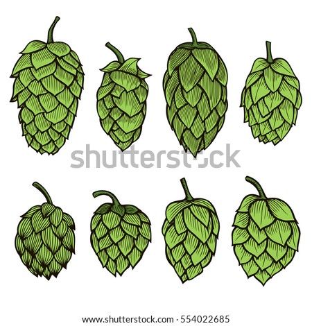 Hop Stock Images, Royalty-Free Images & Vectors | Shutterstock