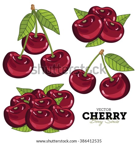 Cherry Isolated on White Background. Bunch of Juicy Cherry Berries.