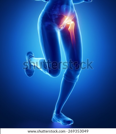 Pubis Stock Images, Royalty-Free Images & Vectors | Shutterstock